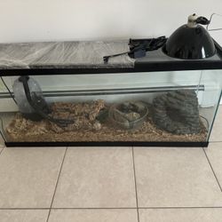 Large Reptile Tank 