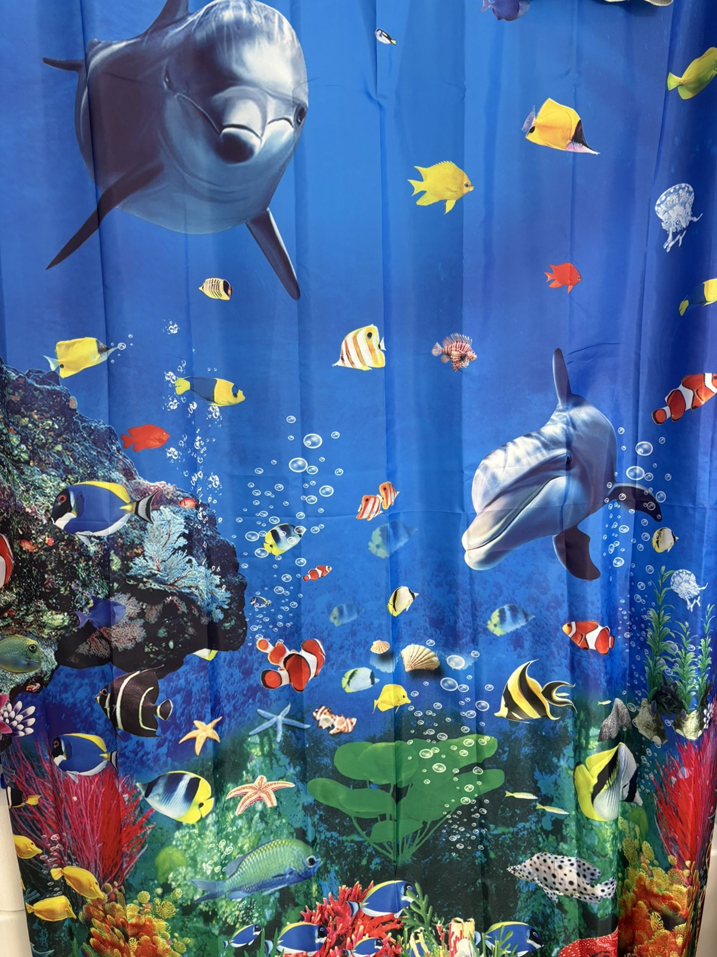 Shower Curtain & Matching Pics