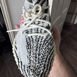 Zebra Yeezy 