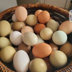 Eggs!!