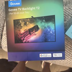 Govee Envisual TV LED Backlight T2 with Dual Cameras (for 55-65 inch TVs)