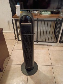 Fan