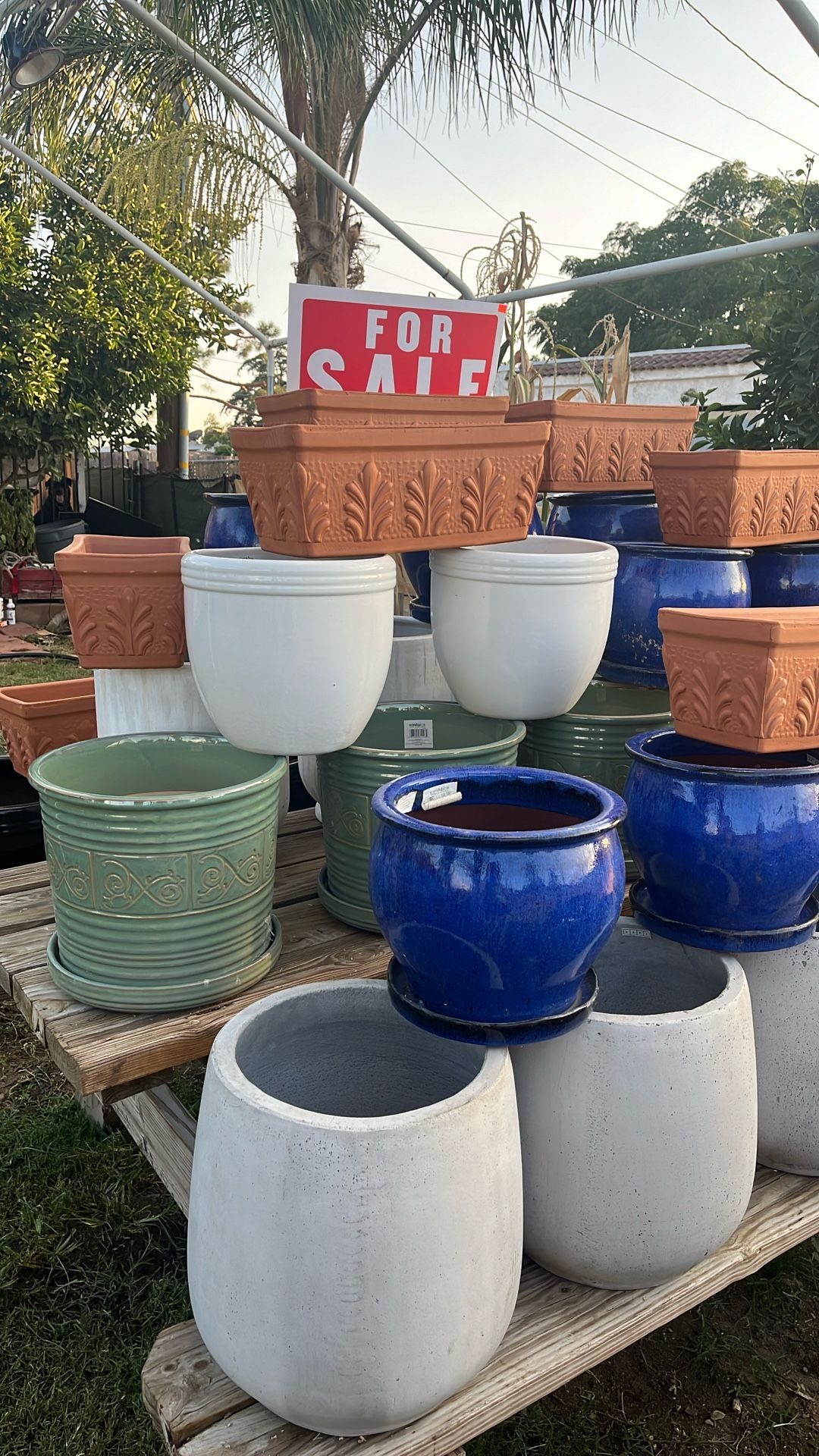 Flower Pot/ Maceta