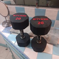 20 Lb Dumbbells
