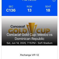 Mexico Game Tickets For A Steal
