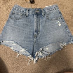 Levi Jean Shorts 