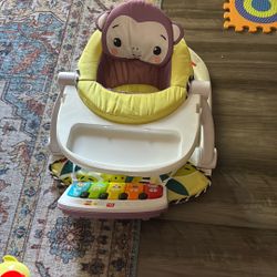 Fisher Price  Infant chair 