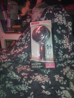 Delta ProClean Shower Head