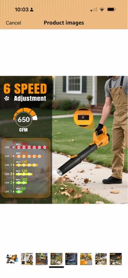 Cordless Leaf Blower 6-Speed 650 CFM