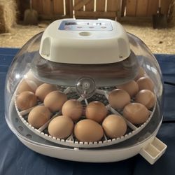 Manna Pro Nurture Right 360 Egg Incubator Farms for Hatching Chicks - Holds 22 Eggs