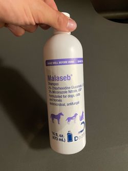 Medicated dog shampoo