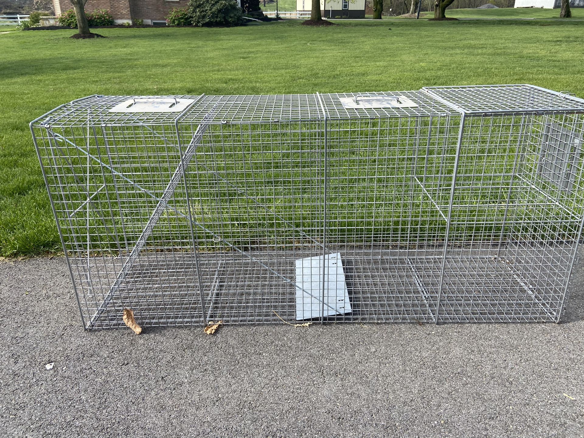 Live animal trap