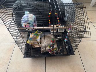 Birdcage