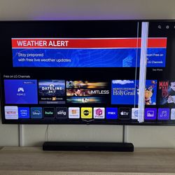 Oh 75 Inch Damage Screen
