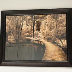 Vintage Framed Wall Art 