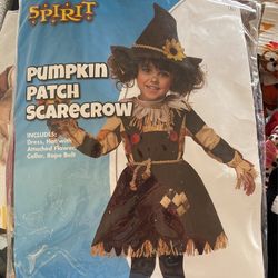 Scarecrow Costume 3T4T