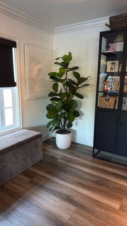 6ft faux fig leave tree from Costco
