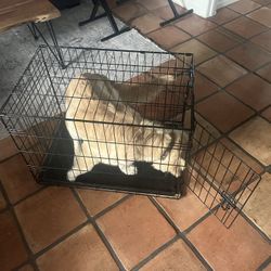 Folding Dog/Puppy Crate