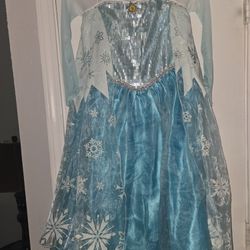 Elsa Frozen Costume Size 9/10 $25