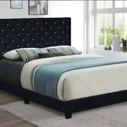 Black Velvet Queen Bed