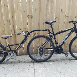 Bike And Trailer