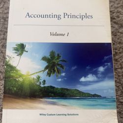 Accounting Principles Vol 1 Wiley Custom 