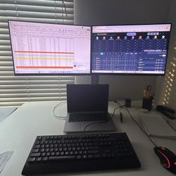 Dual Monitor Stand and one 24in Monitor