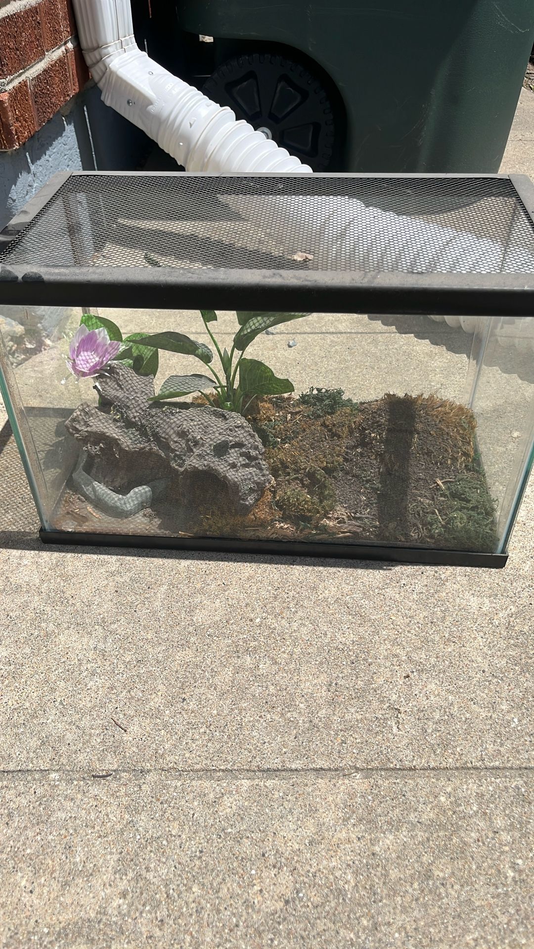 Fish Tank