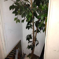 Artificial Indoor Tree Decor 