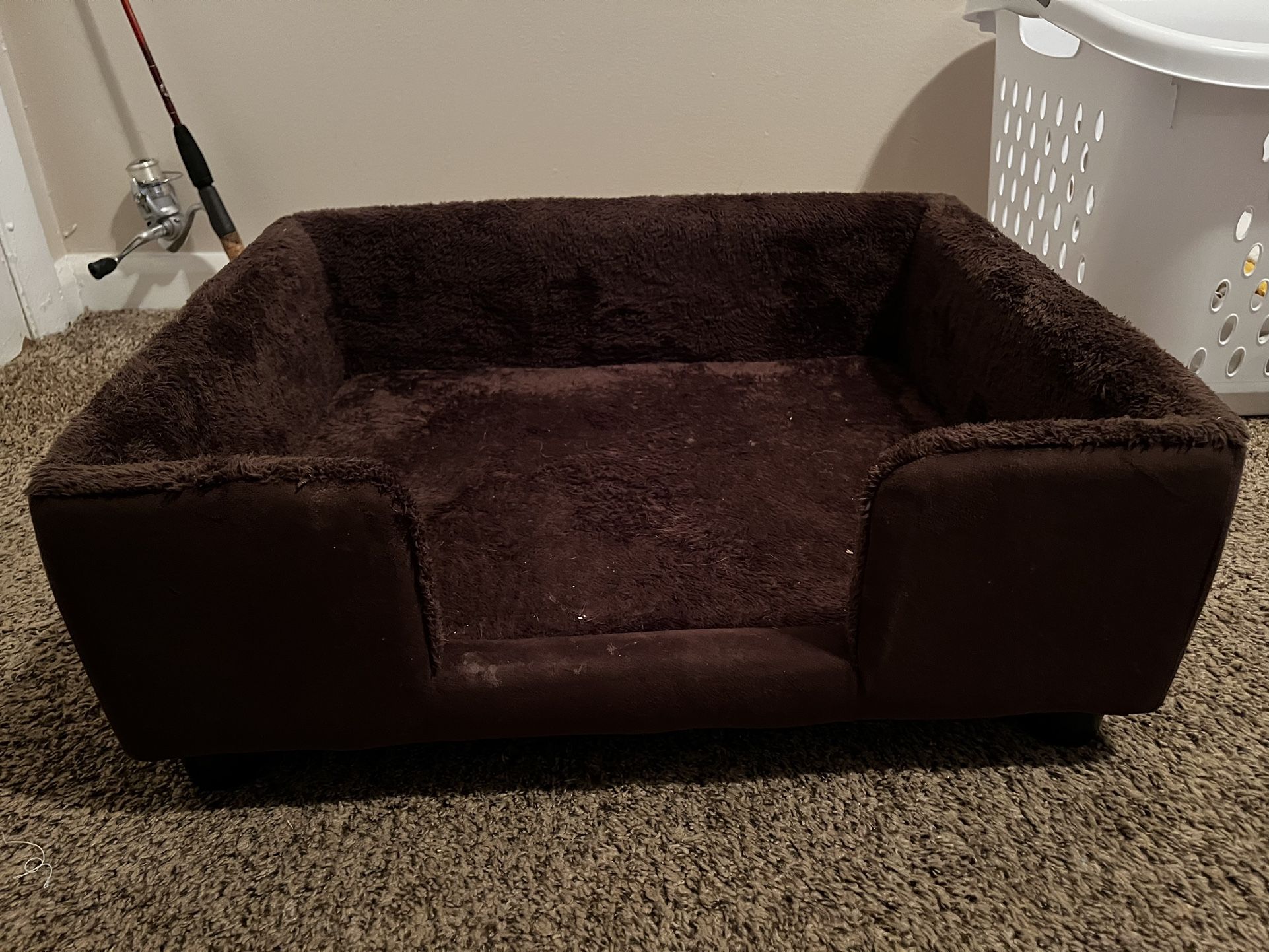 Brown Dog Bed Couch
