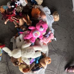 Plush Toys