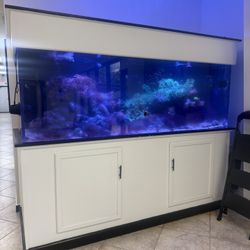 Full Working Fish Tank For Sale 