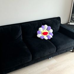 Black Sofa 