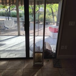 Dog Door