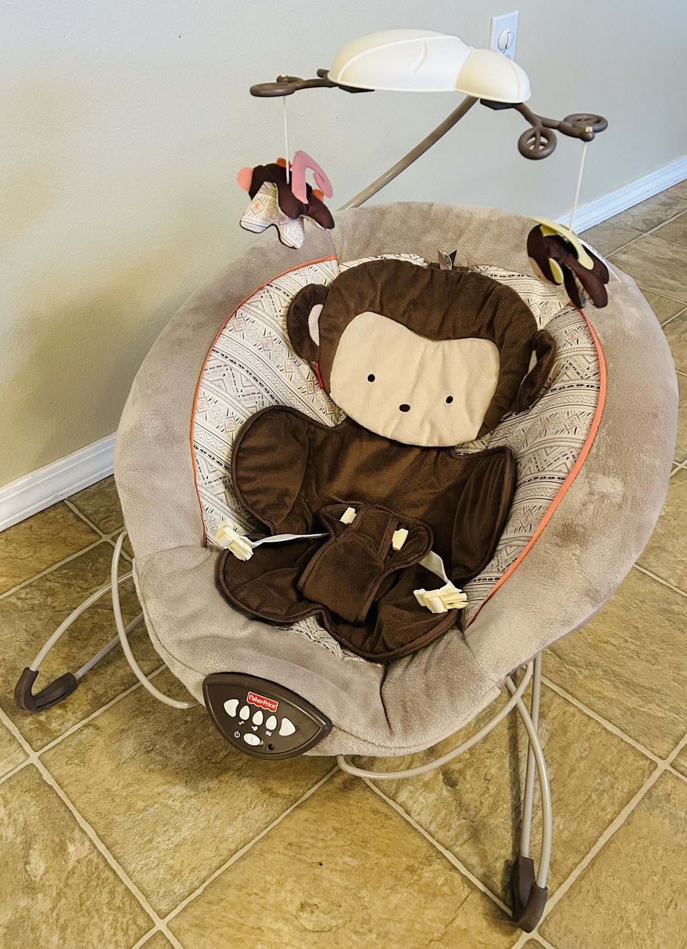 Baby Bouncer