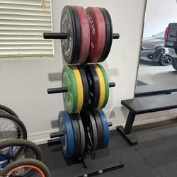 Rogue Bumper Plates 