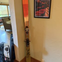 Adult Skis 