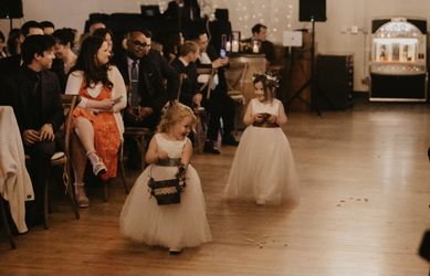 Flower Girl Dresses-$15 Each