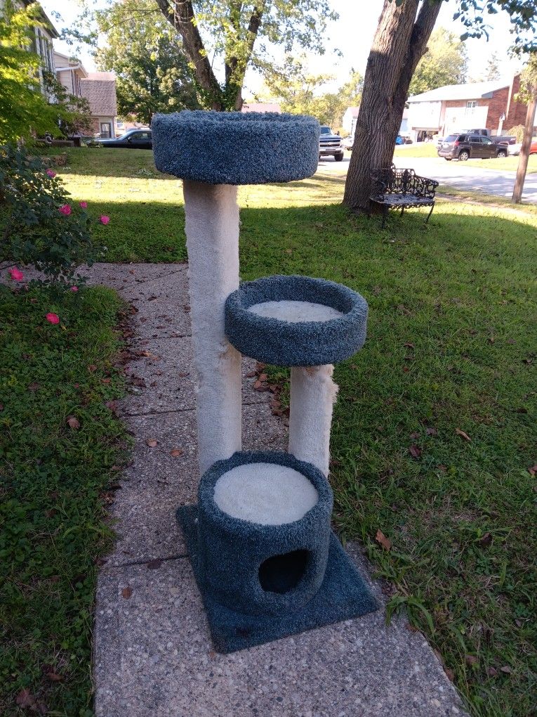 Large Cat Scratching Tree