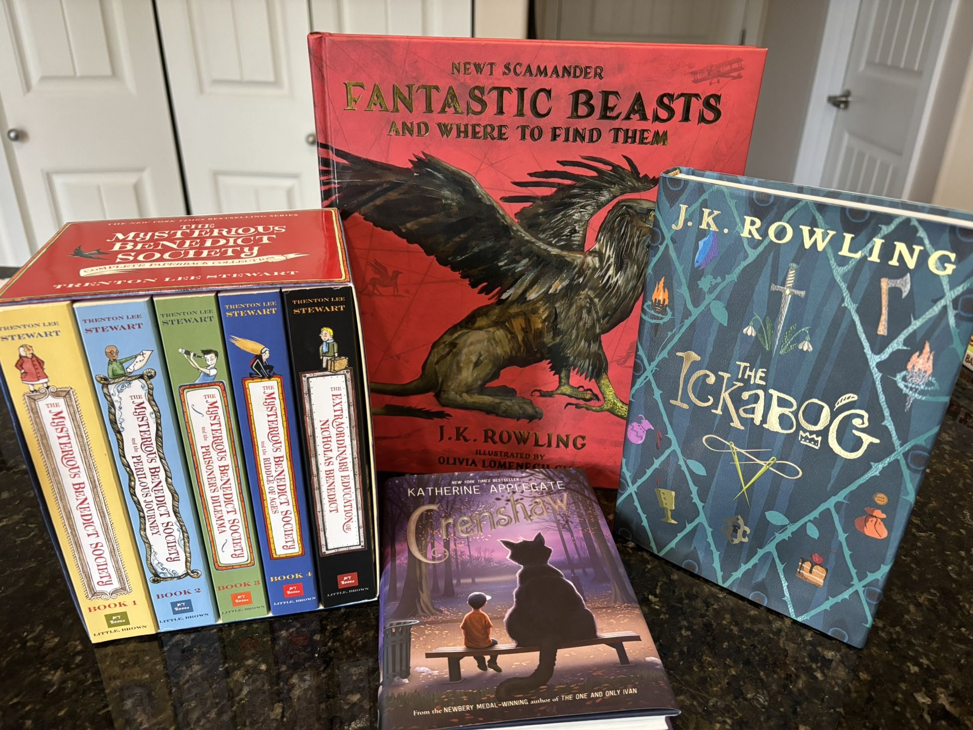 Book Lot - Middle School Level