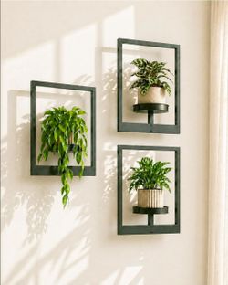 Bamworld Hanging Planters for Indoor Plants Wall Decor Living Room Plant Stand Indoor Wall Planters Plant Hanger Window Plant Shelves 3 Pack for Outdo