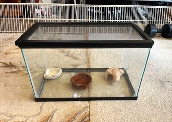 Terrarium Tank 10 Gallon with Accessories
