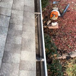 Gutter Cleaning 