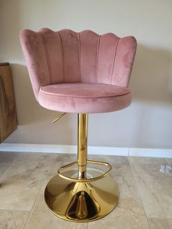Salon Chair