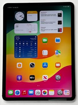 Apple iPad Pro 11” 256GB WiFi + Unlocked Cellular ELD Verizon T-Mobile IOS 26 Tablet
