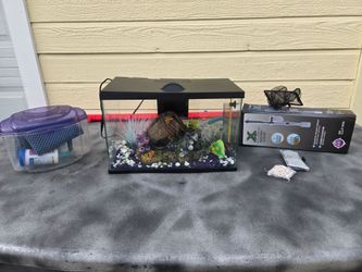Small fish tank