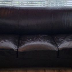 Couch - Regular Size 