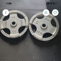  Set Of Custom Weight 2 X 45 Lbs For Sale 