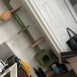 Cat Tree
