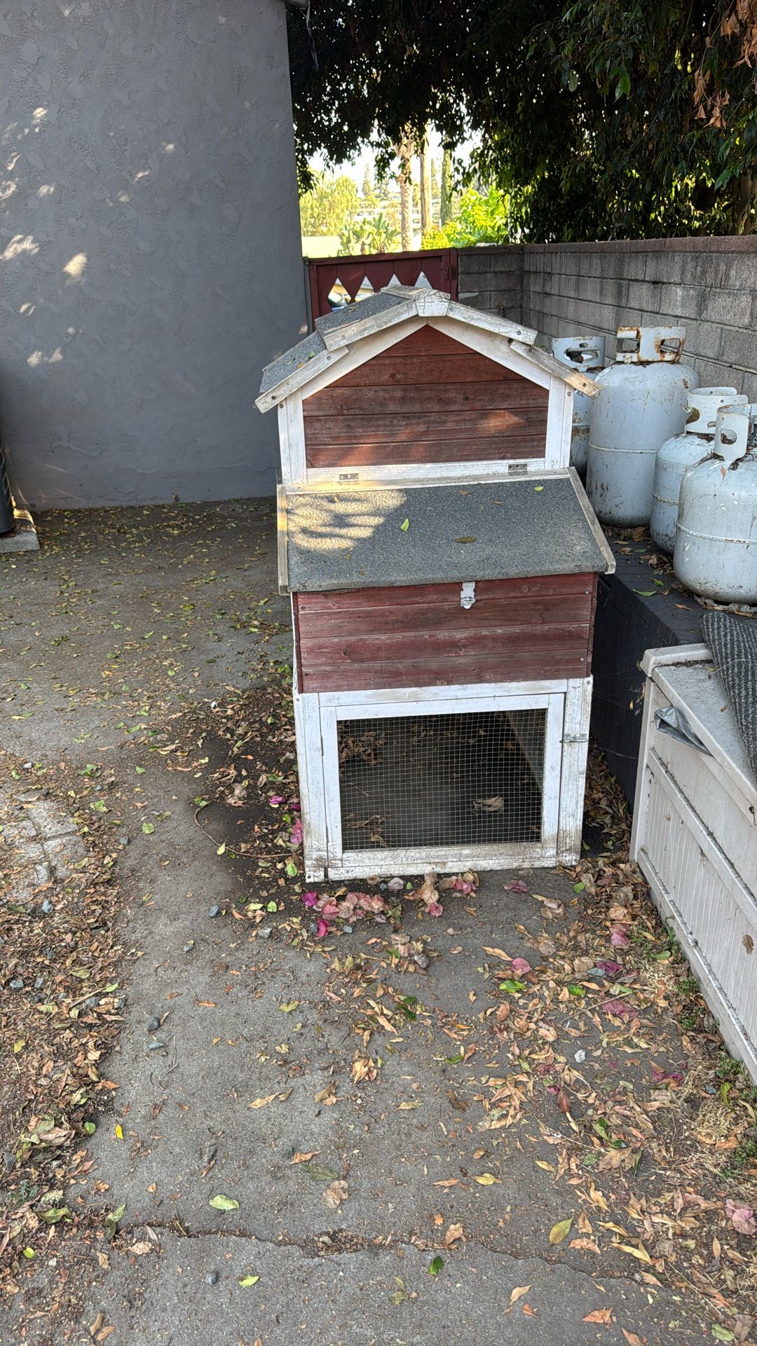 Chicken Coup